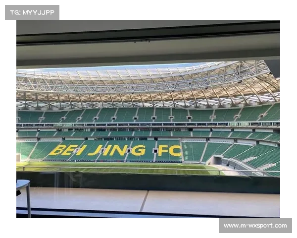 法甲加速球场基础设施现代化进程 提升观赛体验