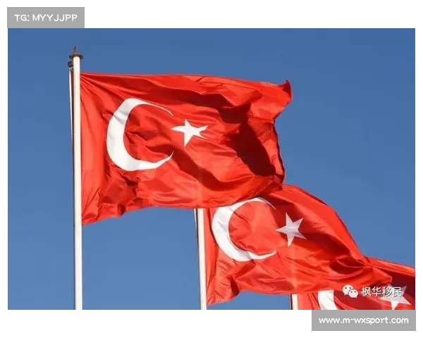 土耳其足协考虑修改青训计划，居勒尔成功促本土人才培养反思